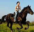 horse riding experiences
