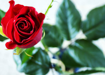 valentines day gift experience